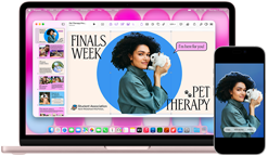 MacBook Neo hajnalpír színben, mellette egy iPhone, a kijelzőn egy Finals Week Pet Therapy (Kisállatterápia a vizsgahéten) című prezentáció egy tengerimalacot a kezében tartó diákról készült fotóval, iPhone, a kijelzőjén az a tengerimalacot a kezében tartó diákról készült fotó, amely matricaként be van illesztve a prezentációba.