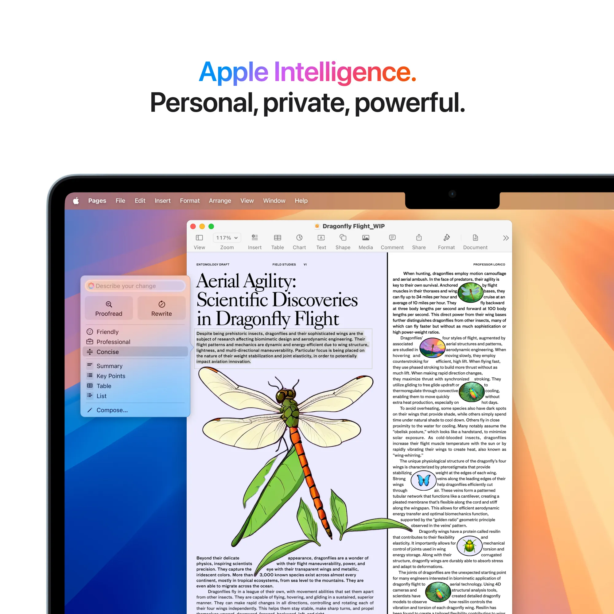 13 hüvelykes MacBook Air: M4, chip 10-magos CPU, 8-magos GPU, 16GB RAM, 256GB SSD - égkék (Bontott)