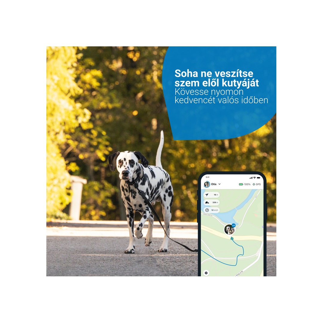 TRACTIVE GPS Kutya nyomkövető