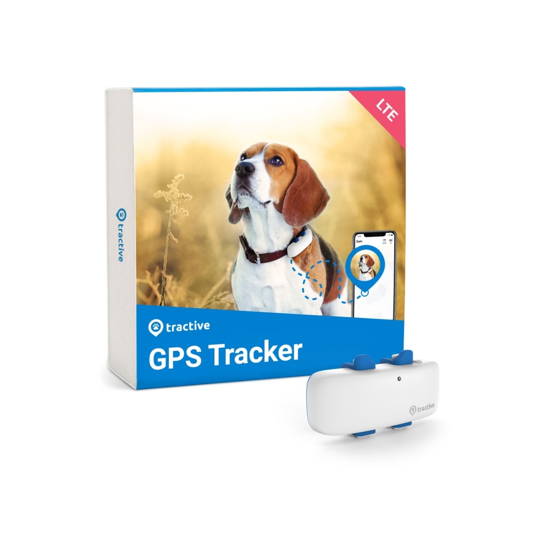 TRACTIVE GPS alapú, nyakörvre tehető kutya nyomkövető